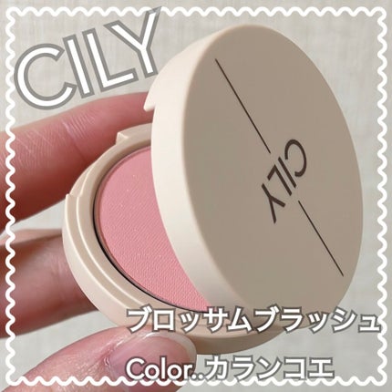 ブロッサムブラッシュ /CILY/パウダーチークを使ったクチコミ(1枚目)