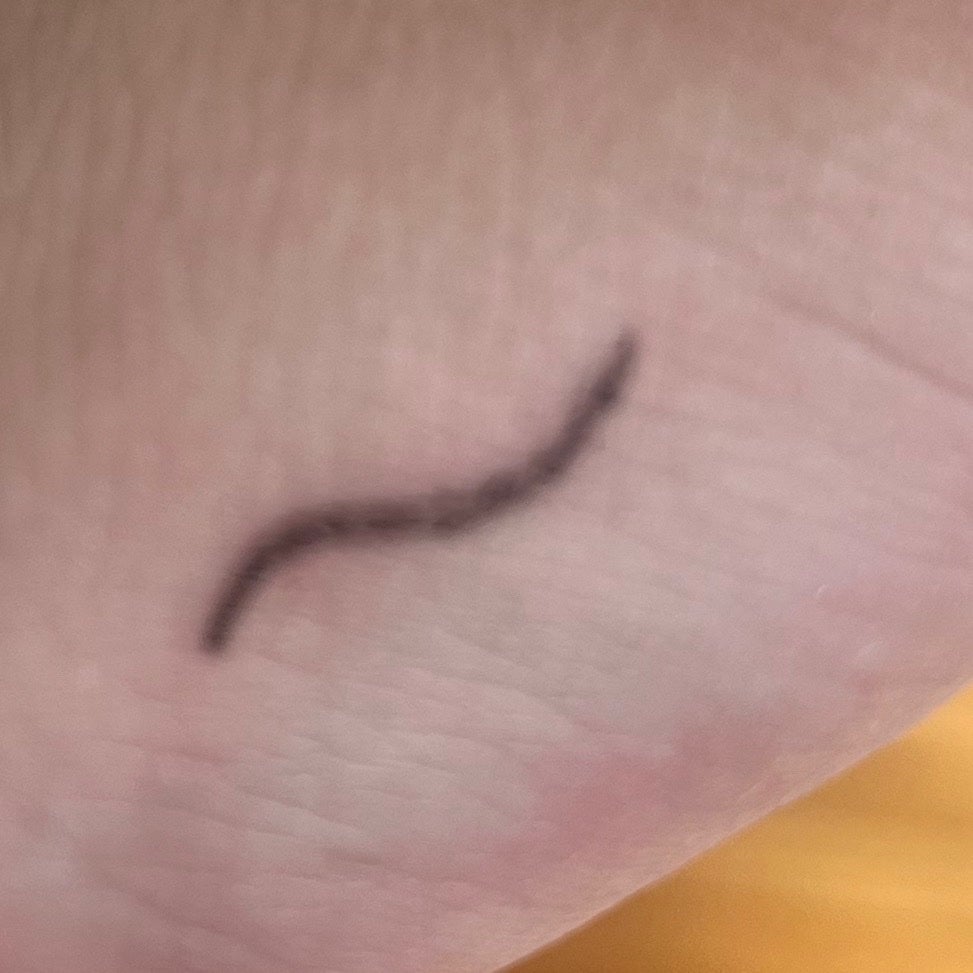 ããðð«§ on LIPS ãç¡å°è¯åãã¢ã€ã©ã€ããŒãã³ã·ã«ããã©ãã¯â¢éçã¿ã€ãã®ã¢ã€ã©ã€..ãïŒ2æç®ïŒ