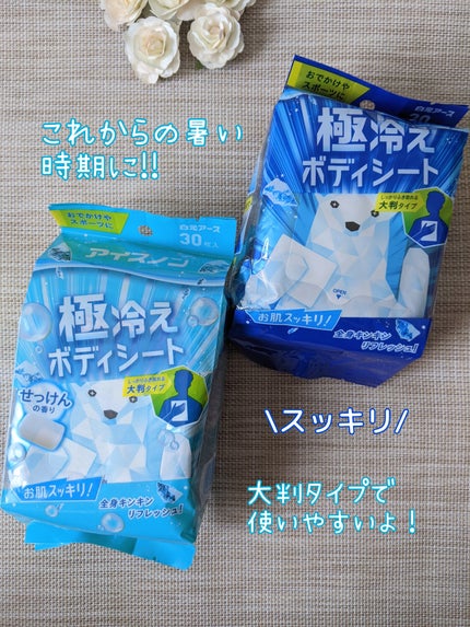 アイスノン 極冷えボディシート/アイスノン/ボディシートを使ったクチコミ(1枚目)