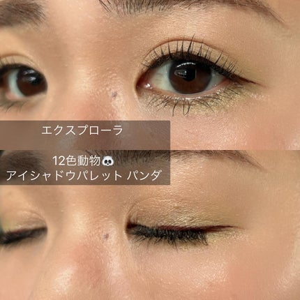 エクスプローラ12色 動物アイシャドウパレット/PERFECT DIARY/アイシャドウパレットを使ったクチコミ(5枚目)