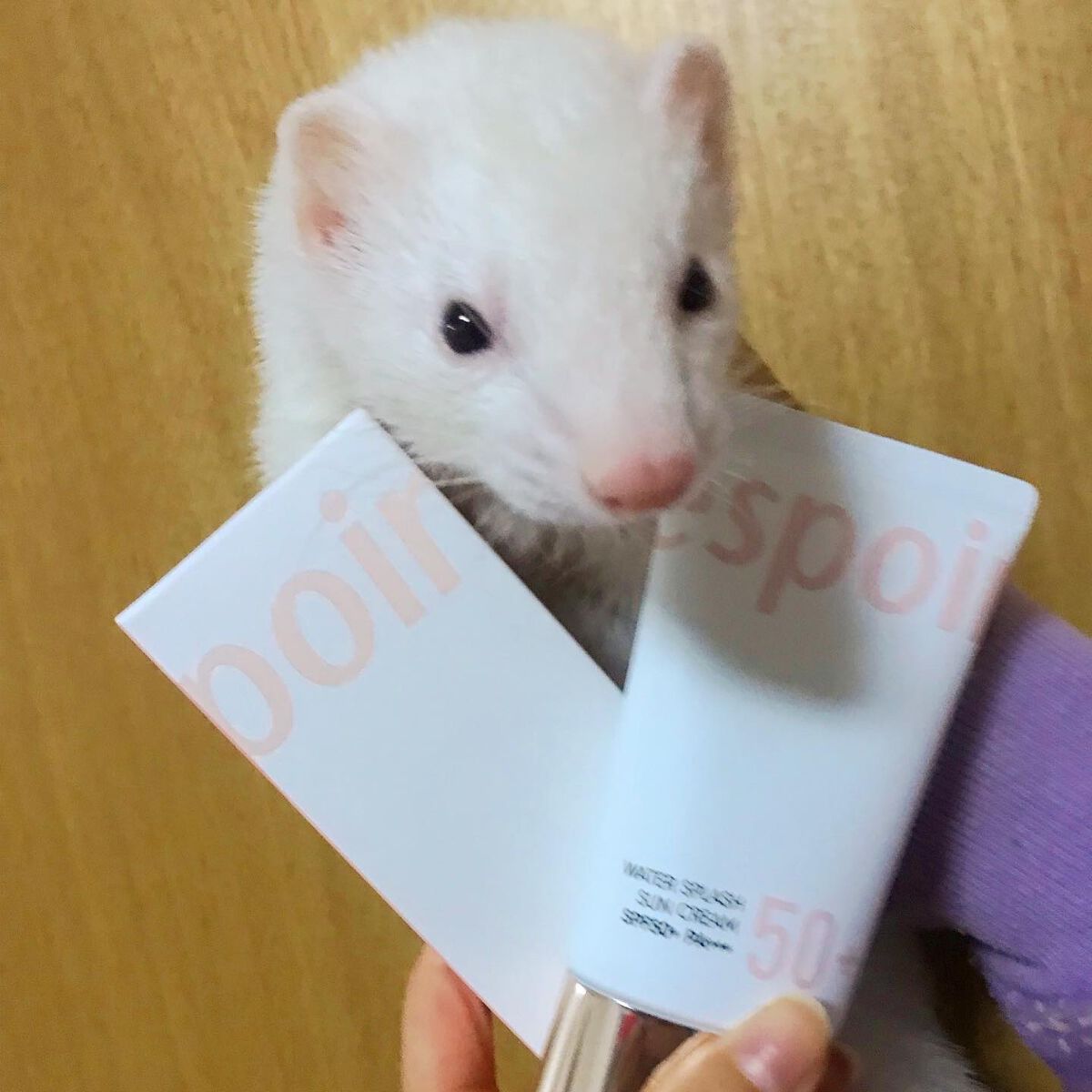 ウォータースプラッシュサンクリーム/espoir/日焼け止め・UVケアを使ったクチコミ(4枚目)