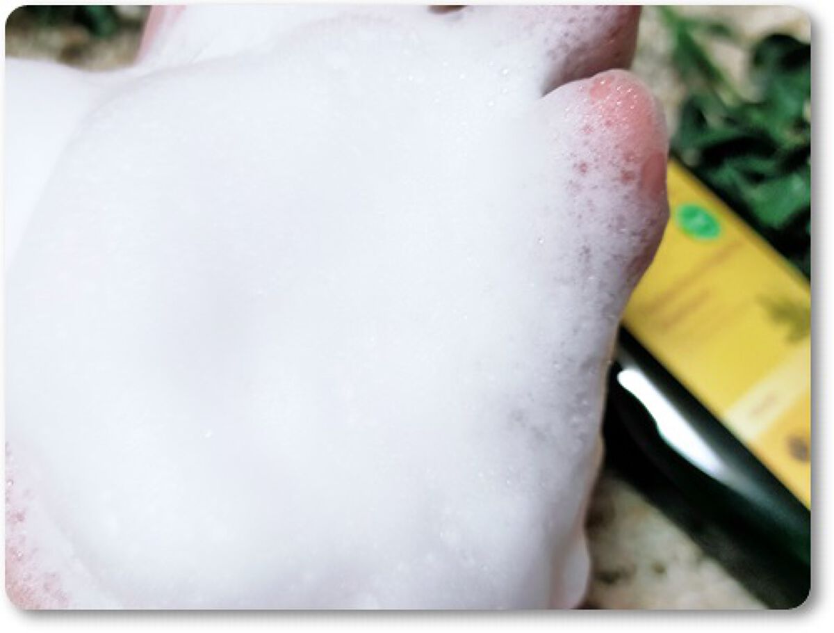 アルガン ヘアシャンプー／ヘアコンディショナー/WELEDA/市販シャンプーを使ったクチコミ（1枚目）