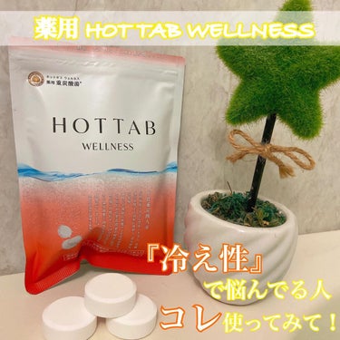 薬用 HOT TAB WELLNESS /HOT TAB/入浴剤を使ったクチコミ（1枚目）