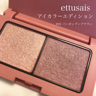 アイエディション(カラーパレット)/ettusais/アイシャドウパレットを使ったクチコミ（1枚目）