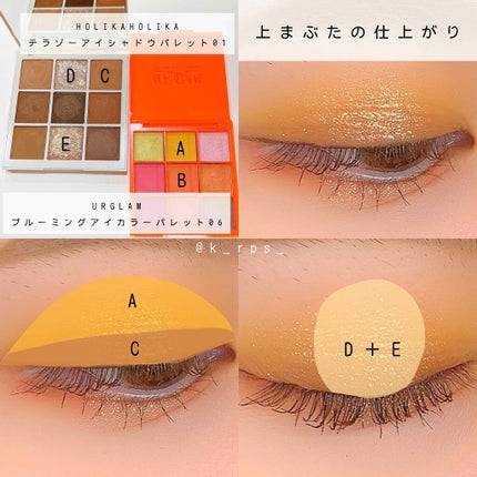 UR GLAM BLOOMING EYE COLOR PALETTE/U R GLAM/アイシャドウパレットを使ったクチコミ(2枚目)