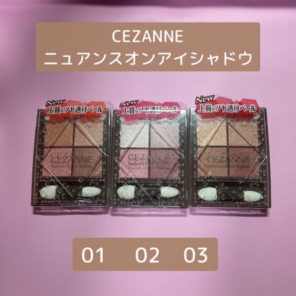 ニュアンスオンアイシャドウ/CEZANNE/アイシャドウパレットを使ったクチコミ(6枚目)