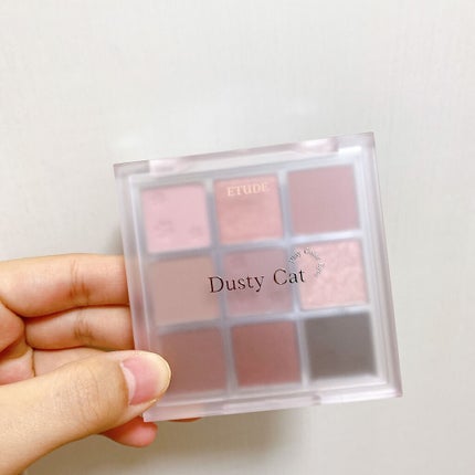 プレイカラーアイズ ダスティキャット/ETUDE/アイシャドウパレットを使ったクチコミ(2枚目)
