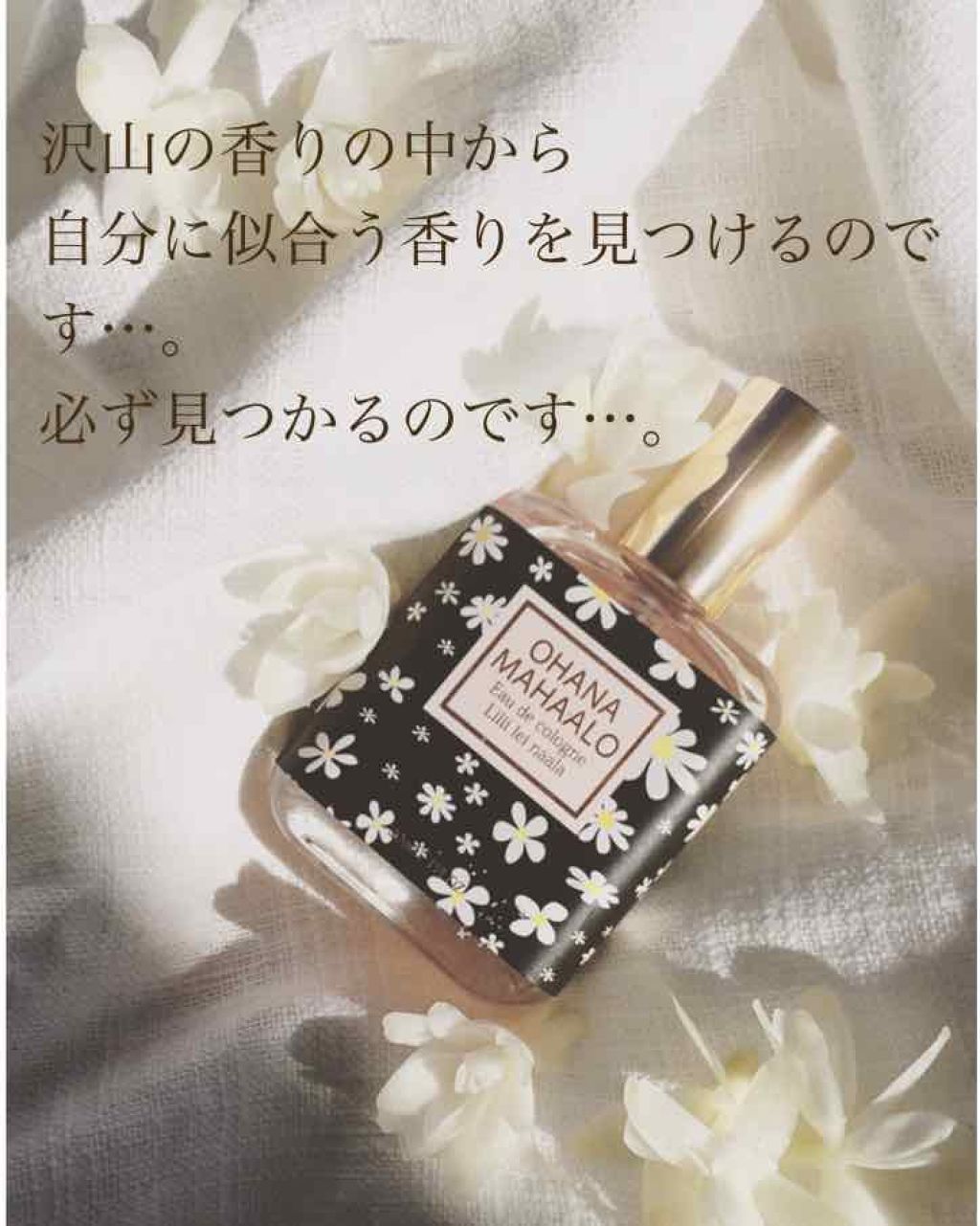 オハナ・マハロ オーデコロン <ピカケ アウリィ>/OHANA MAHAALO/香水(レディース)を使ったクチコミ（1枚目）