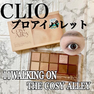 プロ アイ パレット 11 WALKING ON THE COSY ALLEY/CLIO/アイシャドウパレットを使ったクチコミ（1枚目）