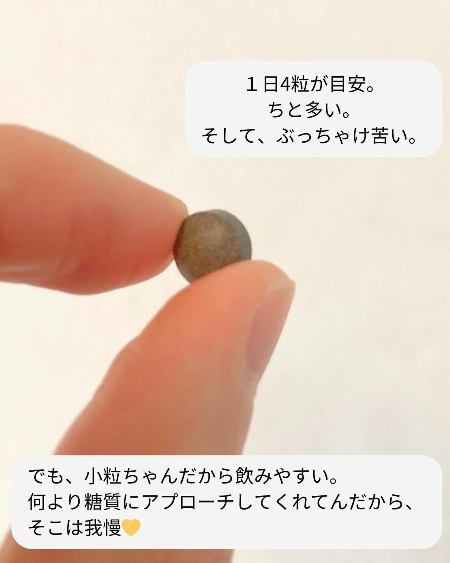 炭水化物 食べてもDiet/井藤漢方製薬/ボディサプリメントを使ったクチコミ（3枚目）