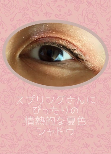 eyeshadow/SLN/単色アイシャドウを使ったクチコミ（3枚目）