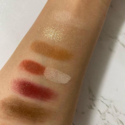 エクスプローラ12色 動物アイシャドウパレット/PERFECT DIARY/アイシャドウパレットを使ったクチコミ(5枚目)