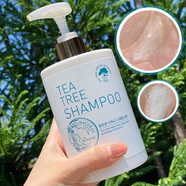 Tea Tree Special Shampoo/ポールミッチェル/シャンプー・コンディショナーを使ったクチコミ（2枚目）