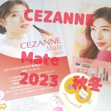 セザンヌメイト/CEZANNE/書籍を使ったクチコミ（1枚目）