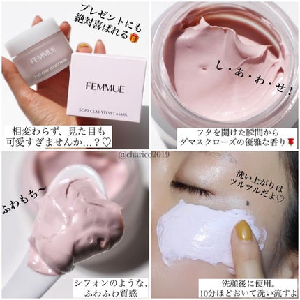 ソフトクレイ ベルベットマスク/FEMMUE/洗い流すパック・マスクを使ったクチコミ(2枚目)
