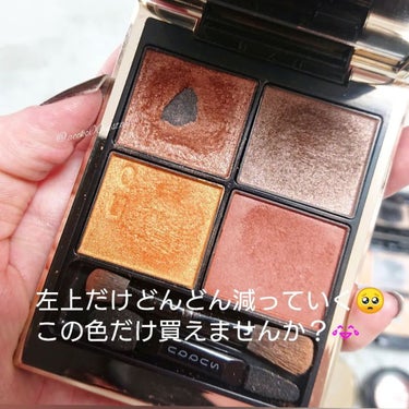 サンク クルール<ワイルド アース＞/Dior/アイシャドウパレットを使ったクチコミ（2枚目）