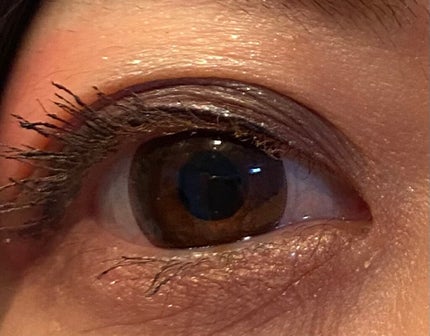 ル・ヌフ・ジバンシイ/GIVENCHY/アイシャドウパレットを使ったクチコミ(2枚目)