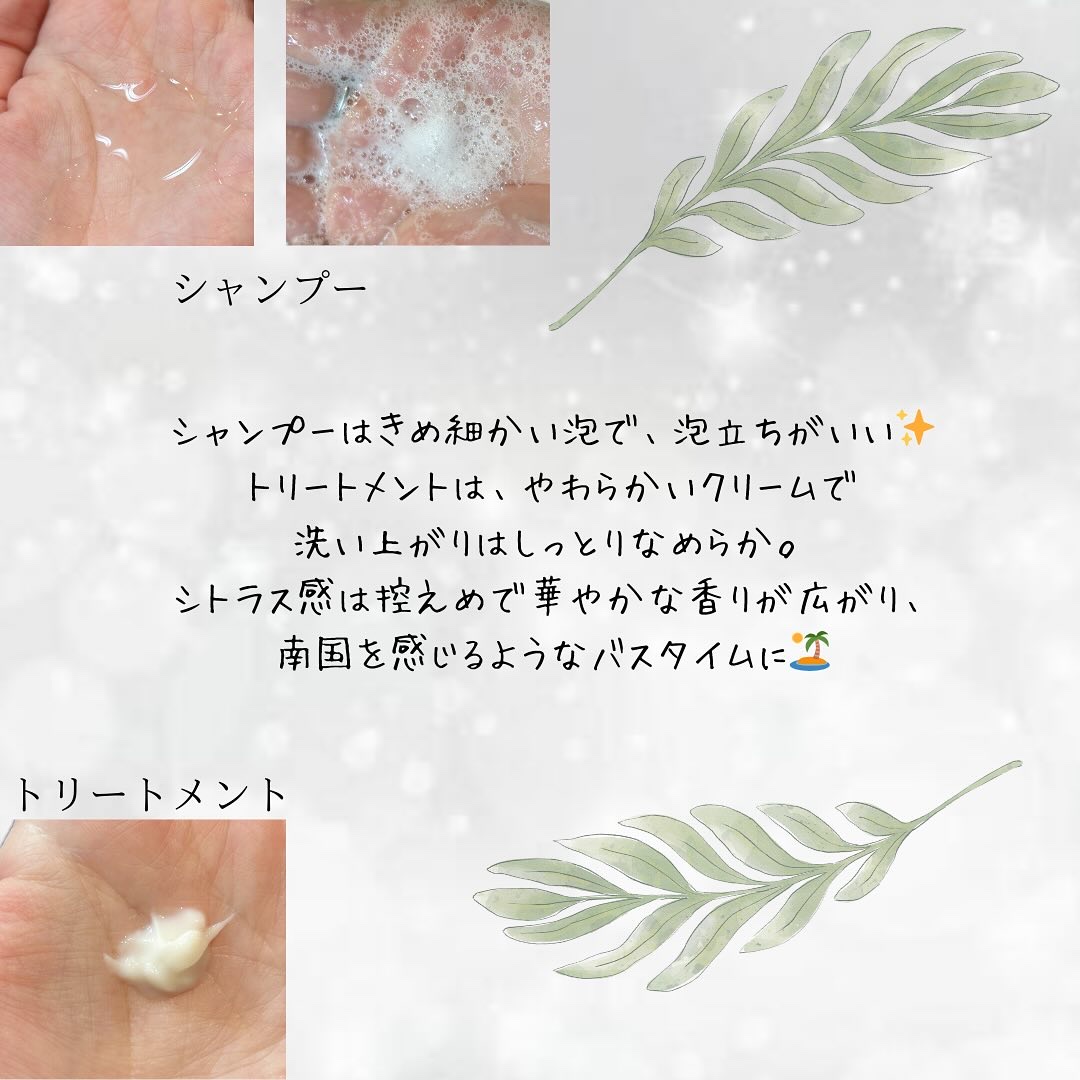 シトラスパ エアリー&モイスト シャンプー/トリートメント/CITRUSPA/市販シャンプーを使ったクチコミ（3枚目）