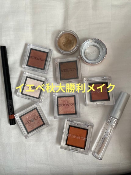 ザ カラー リキッド アイライナー 006 Cinnamon Brown/ADDICTION/リキッドアイライナーを使ったクチコミ(1枚目)