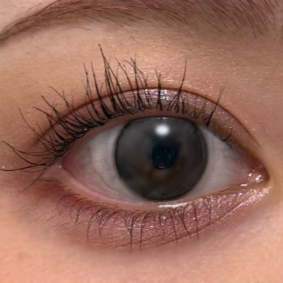 シグニチャー カラー アイズ/SUQQU/アイシャドウパレットを使ったクチコミ(2枚目)