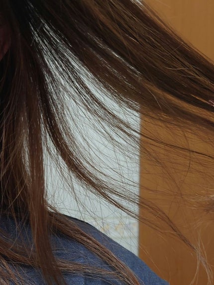 シャンプー シルキースムース/トリートメント シルキースムース /S FREE/市販シャンプーを使ったクチコミ(3枚目)