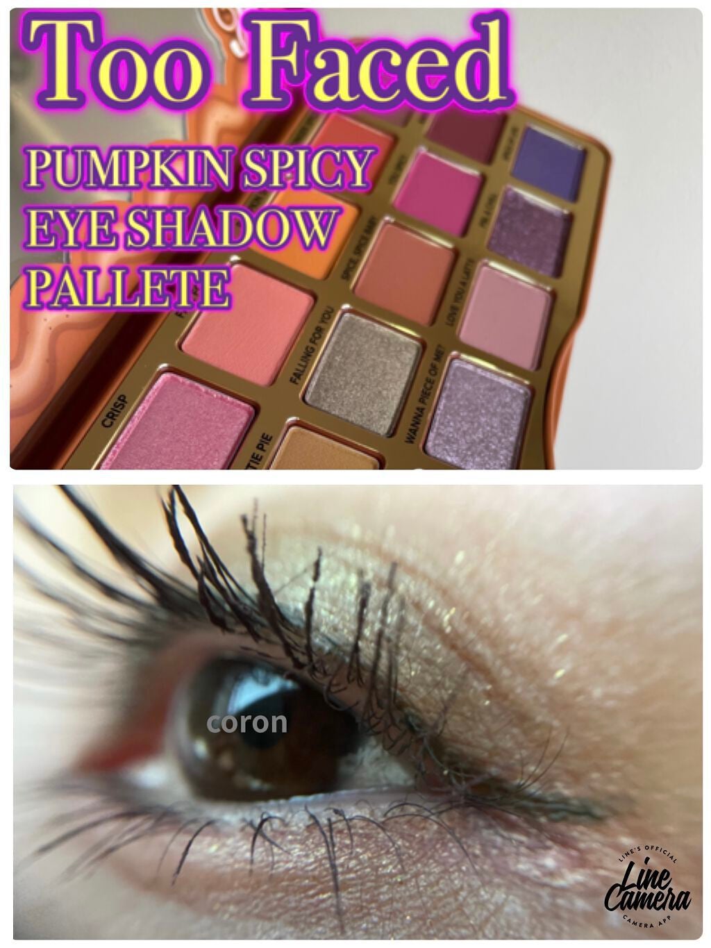 パンプキン スパイス アイシャドウ パレット(旧)/Too Faced/アイシャドウパレットを使ったクチコミ(1枚目)