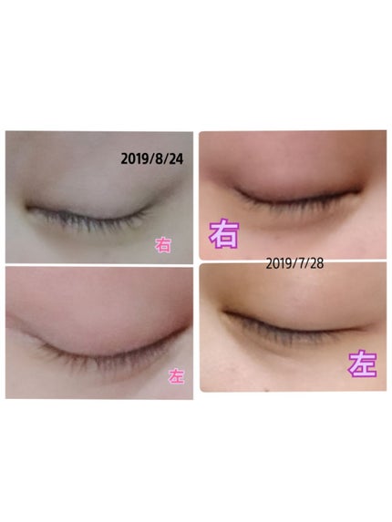 ラッシュジェリードロップ/MAJOLICA MAJORCA/まつげ美容液を使ったクチコミ(2枚目)