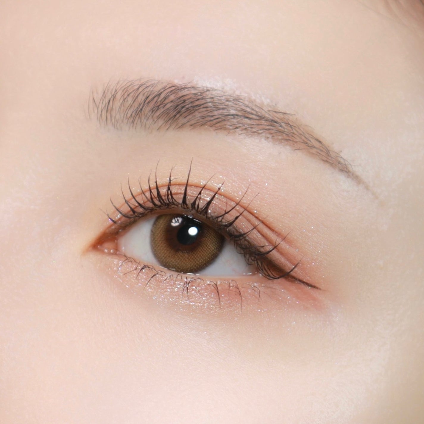 アイスカルプト/shu uemura/アイシャドウパレットを使ったクチコミ(6枚目)