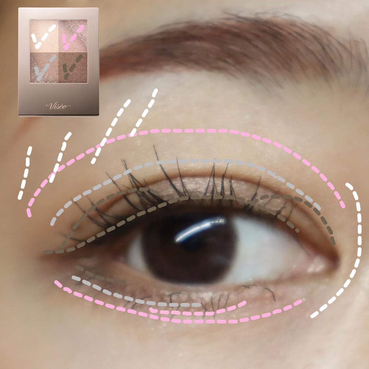 ニュアンス デューイ クリエイター/Visée/アイシャドウパレットを使ったクチコミ(5枚目)