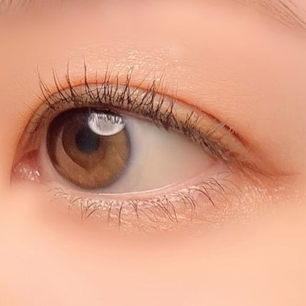 マルチユースシャドウパレット/RULIDIA/アイシャドウパレットを使ったクチコミ(9枚目)