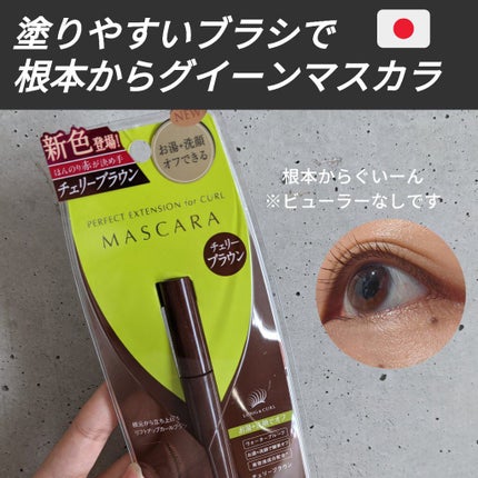 パーフェクトエクステンション マスカラ for カール/D-UP/マスカラを使ったクチコミ(1枚目)