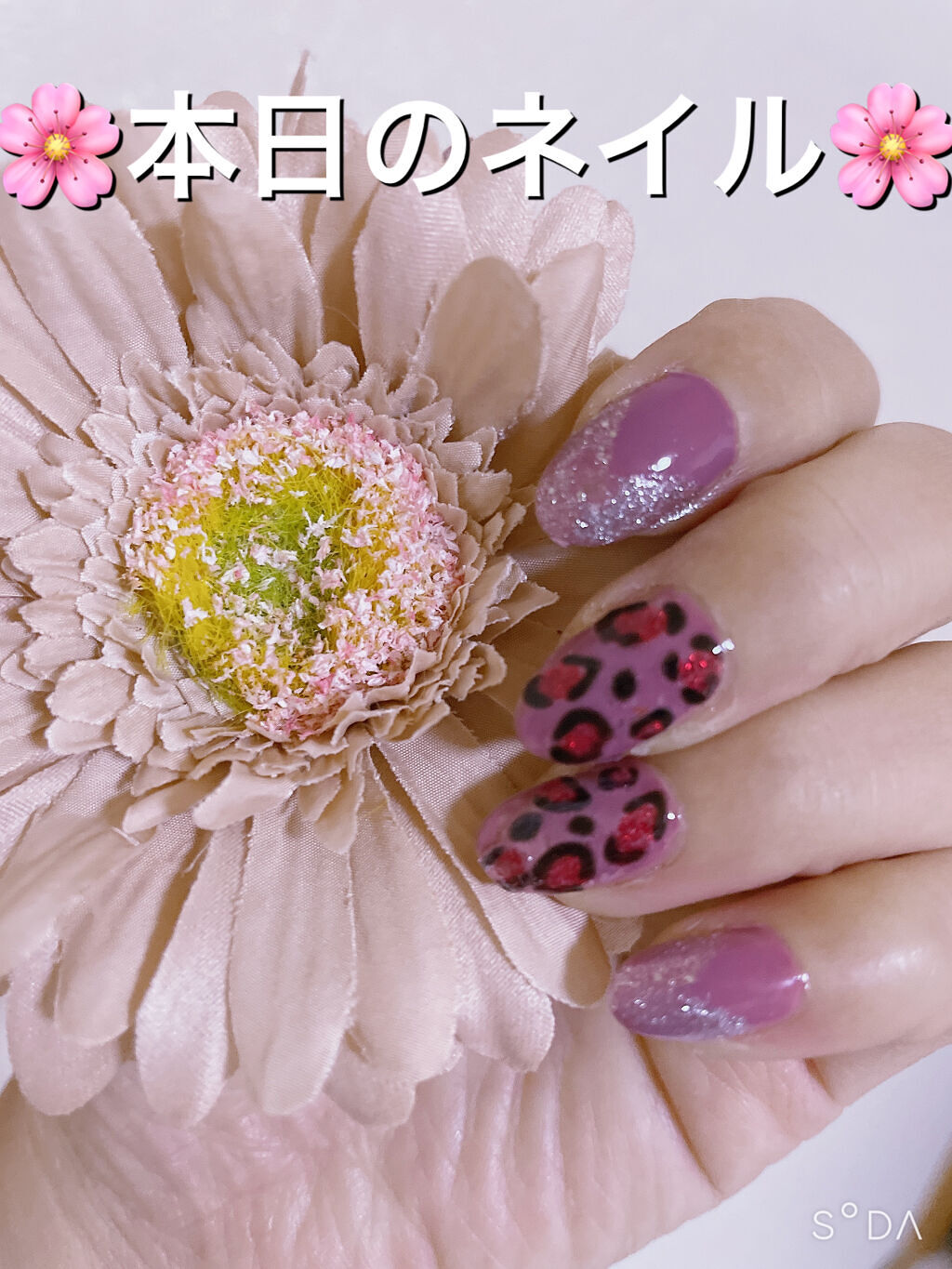 リアルカラーネイル/innisfree/マニキュアを使ったクチコミ（1枚目）