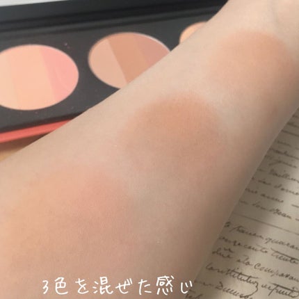 バイロダン アートパレットⅡ/too cool for school/メイクアップキットを使ったクチコミ(4枚目)