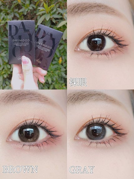 デームードブラウンマンスリー (DAYMOOD BROWN monthly)/OLOLA/1ヶ月(1MONTH)カラコンを使ったクチコミ(2枚目)