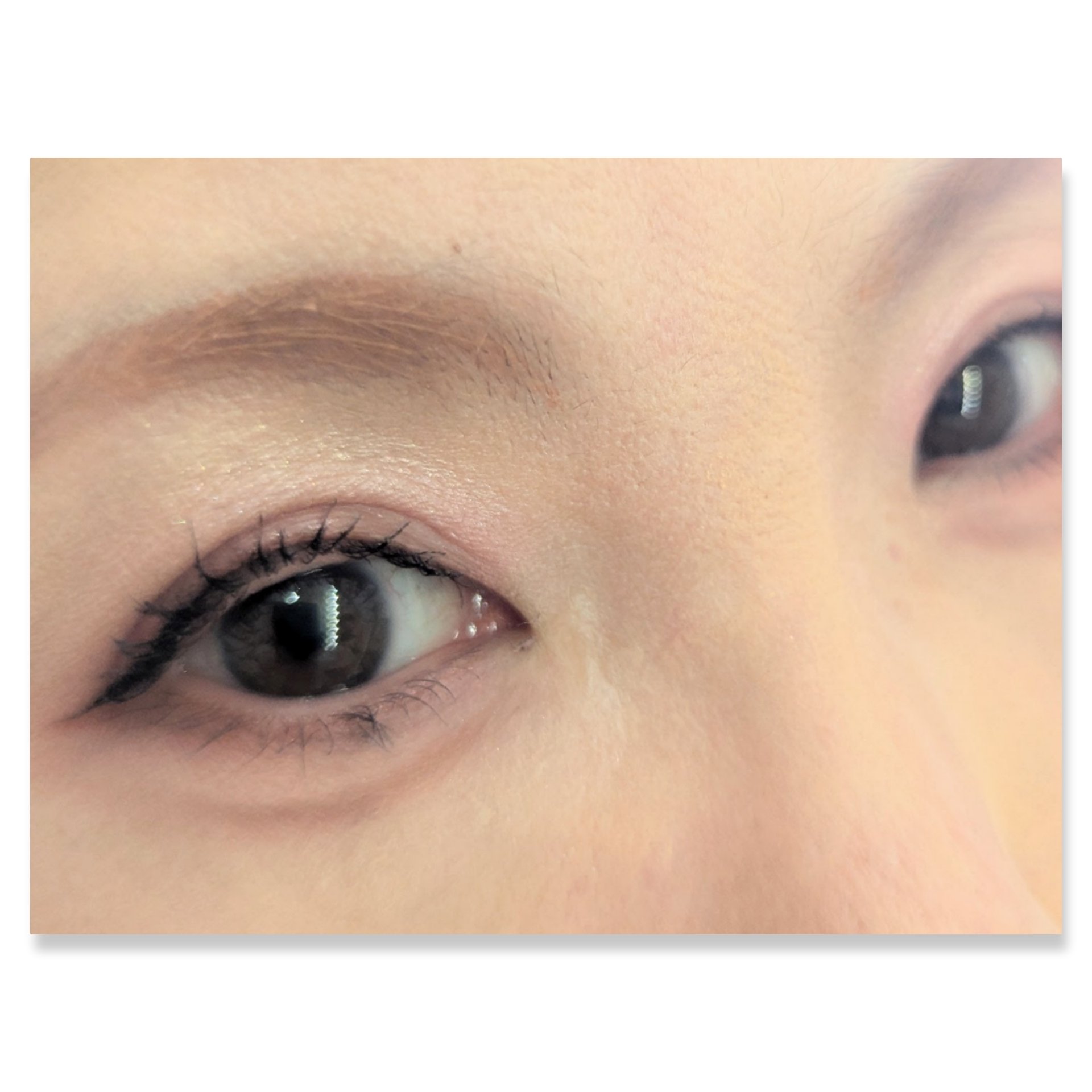 ジュエリーシャドウベール/キャンメイク/アイシャドウパレットを使ったクチコミ（2枚目）