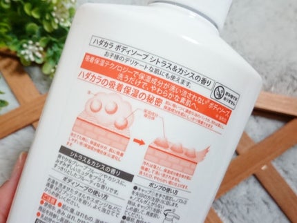 hadakara ボディソープ シトラス&カシスの香り/hadakara/ボディソープを使ったクチコミ(3枚目)