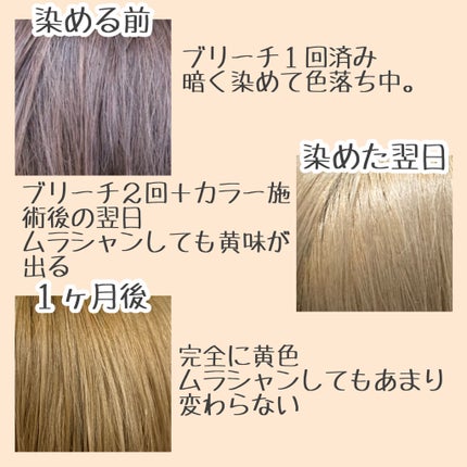 を使ったクチコミ(2枚目)