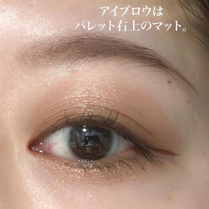 アディクション ザ アイシャドウ パレット/ADDICTION/アイシャドウパレットを使ったクチコミ(5枚目)