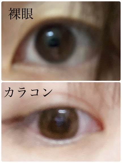 feliamo 1month アフォガード/feliamo/1ヶ月(1MONTH)カラコンの画像