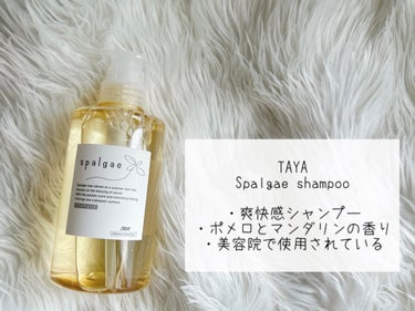 TAYA スパルゴ シャンプー ／ヘアパック 2020のクチコミ「~夏の爽快セット☀️~

①SABON ヘッドスクラブ グリーン・ローズ
②TAYA スパルゴ.....」（3枚目）