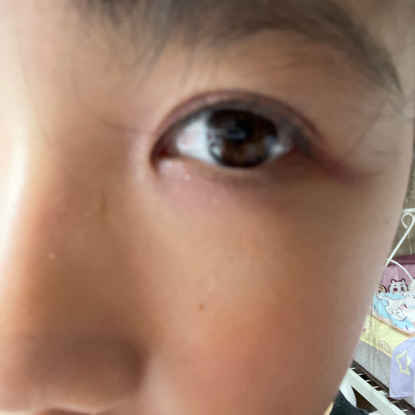 夢見 on LIPS 「キャンメイク新作アイシャドウデビューして見たー#キラキラ夏コス..」(5枚目)