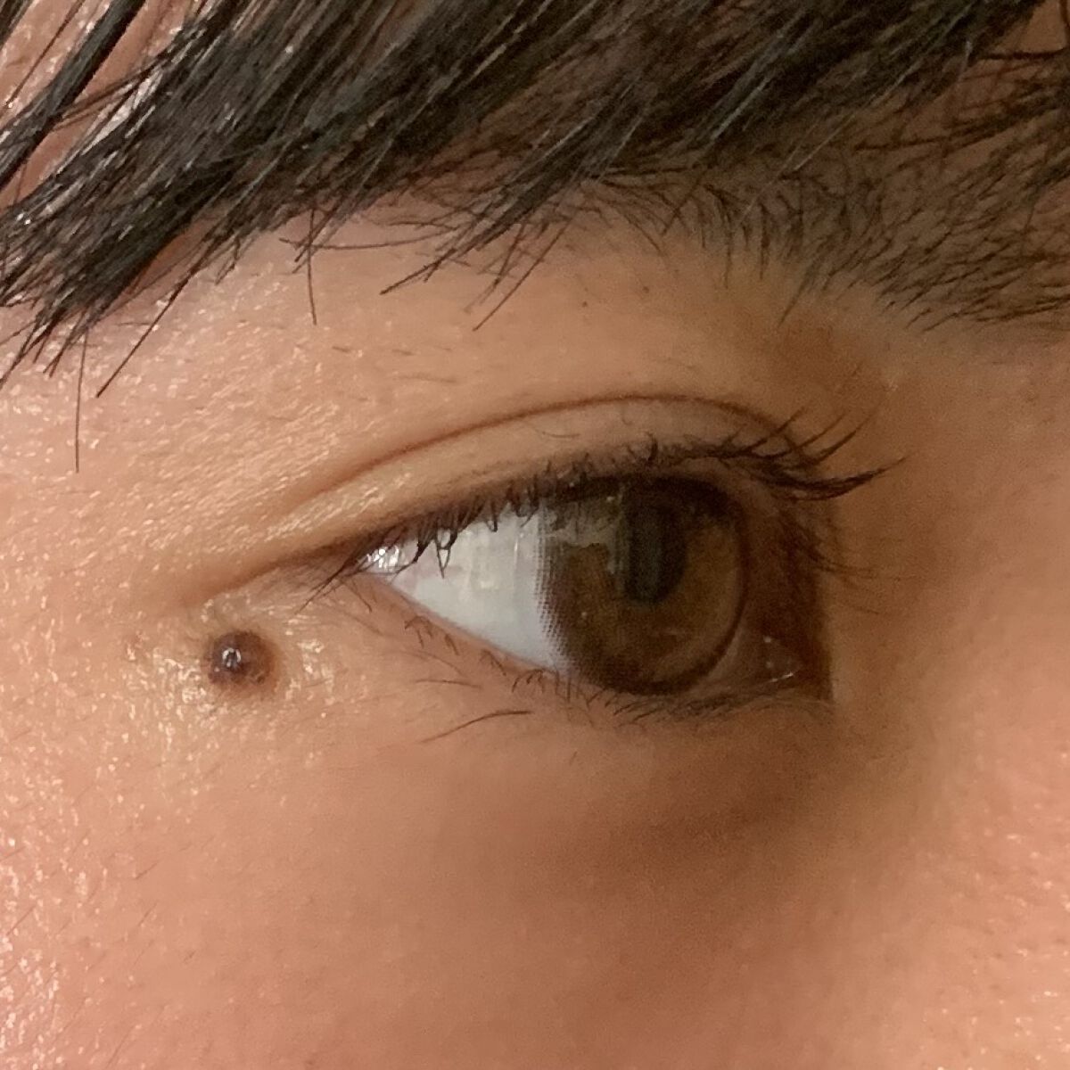 クイックラッシュカーラー/キャンメイク/マスカラ下地を使ったクチコミ（2枚目）