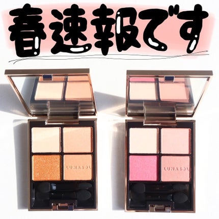 アイカラーレーション/LUNASOL/アイシャドウパレットを使ったクチコミ(2枚目)