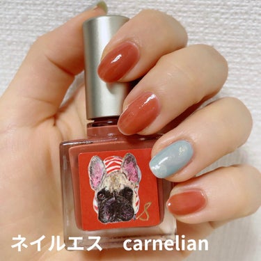 赤×水色 ネイル メモ🐱


左手
人差し指 中指 小指
ネイルエス『carnelian』一度塗り

親指 薬指
マヴァラ 153『ラグーン』一度塗り
乾いたらネイルエス『mashmallow taff