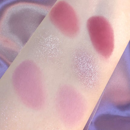 エクスプローラ12色 動物アイシャドウパレット/PERFECT DIARY/アイシャドウパレットを使ったクチコミ(4枚目)