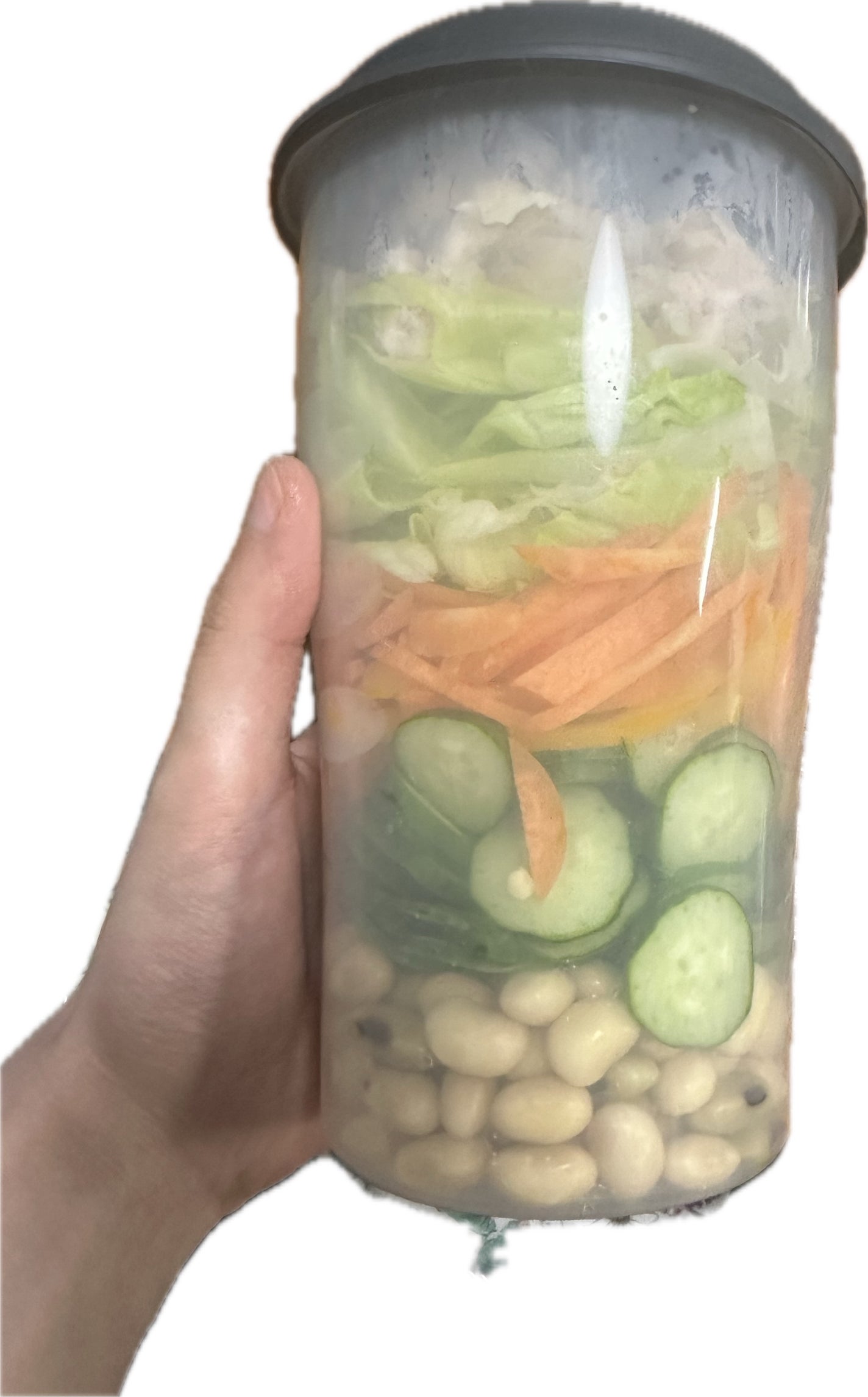 ユイ フォロバ on LIPS 「ダイソーで買える‼️サラダコンテナで、食べすぎた次の日のお昼ご..」(7枚目)