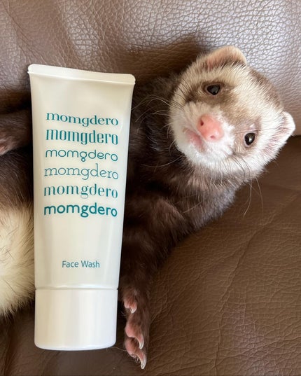 マームグデロ/百養美人/洗顔フォームを使ったクチコミ(1枚目)