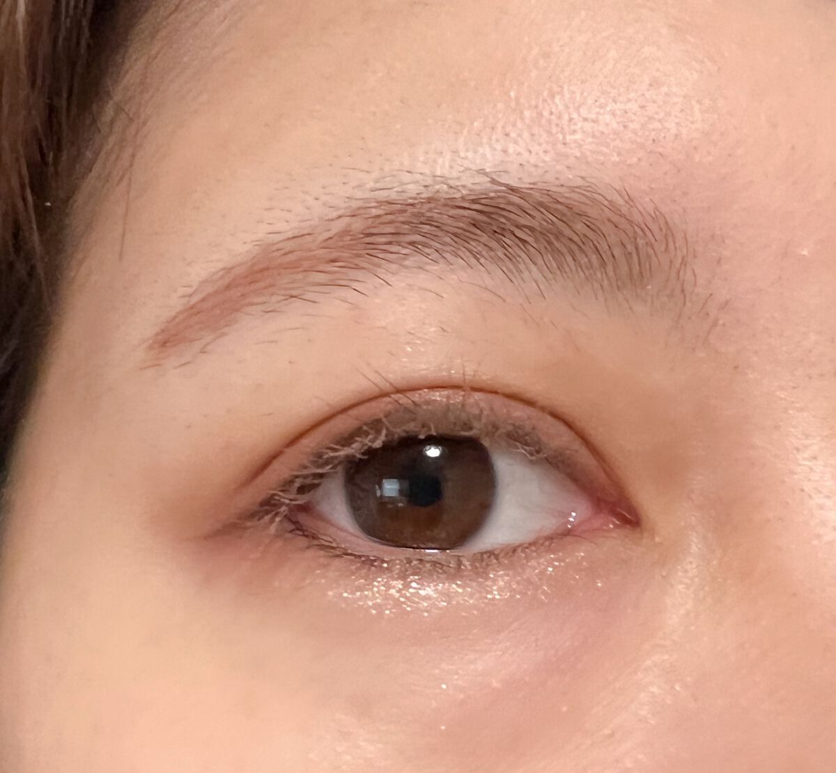 ノーズ＆アイブロウパウダー/CEZANNE/パウダーアイブロウを使ったクチコミ（2枚目）