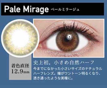 ReVIA 1month [COLOR] Pale Mirage（ペールミラージュ）/ReVIA/１ヶ月（１MONTH）カラコンを使ったクチコミ（3枚目）