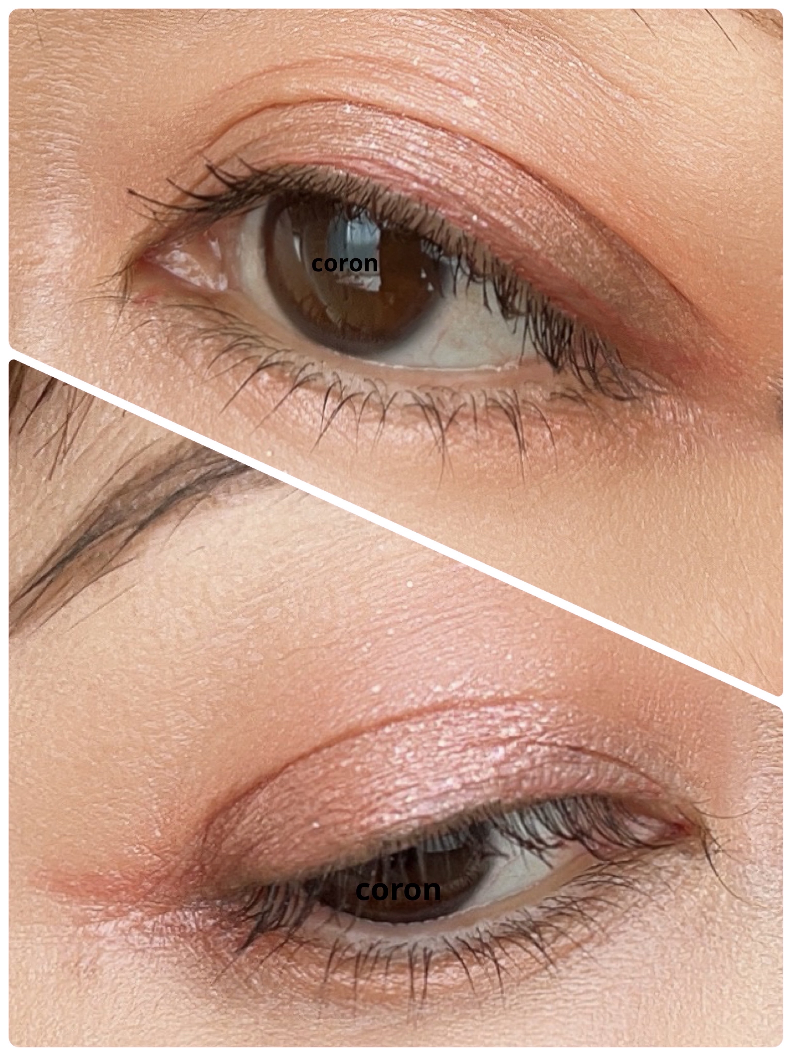 ニュアンス アイライナー 102 レディッシュブラウン/SUQQU/リキッドアイライナーを使ったクチコミ（2枚目）